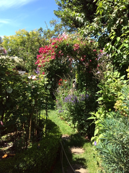 Cottage Garden